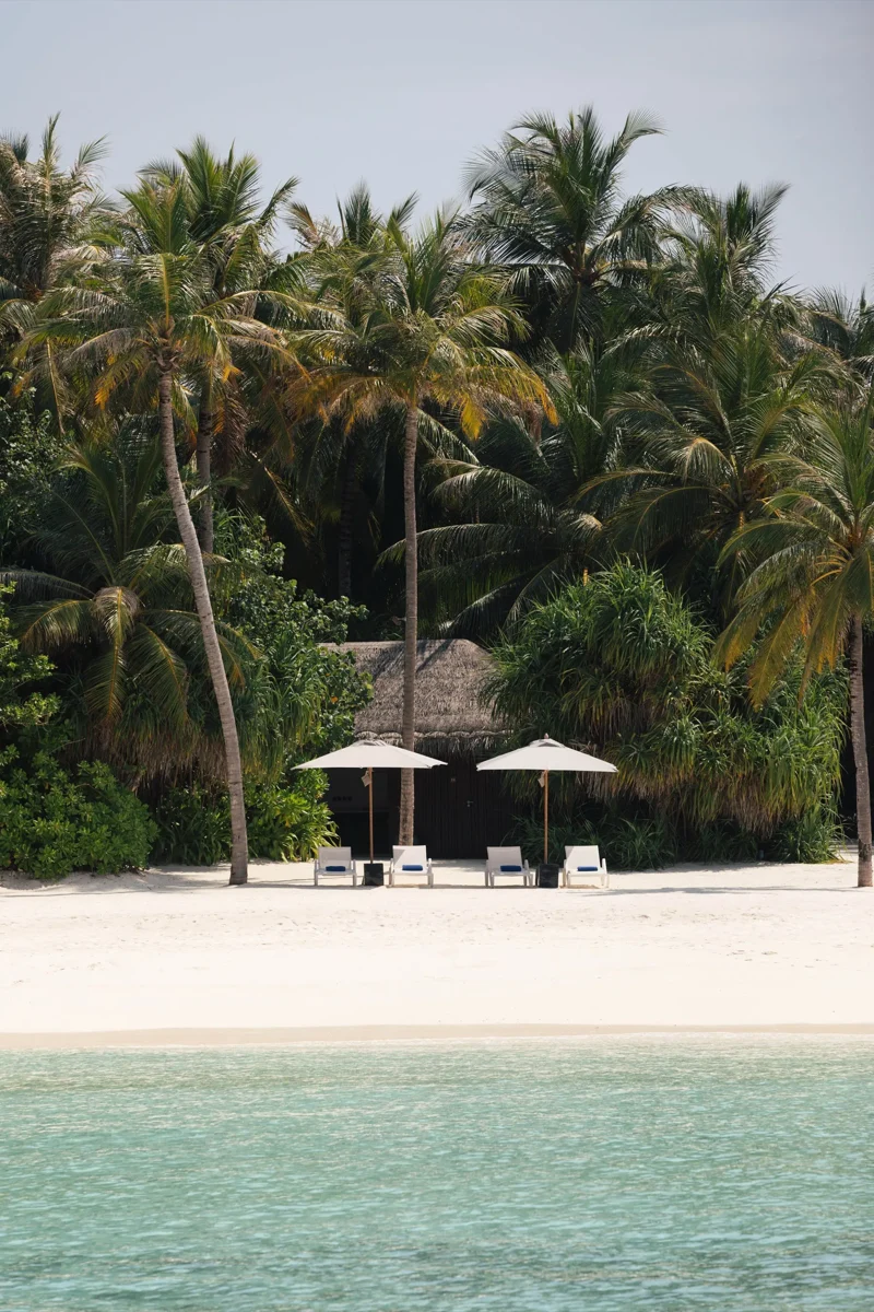 Фото отеля Velaa Private Island