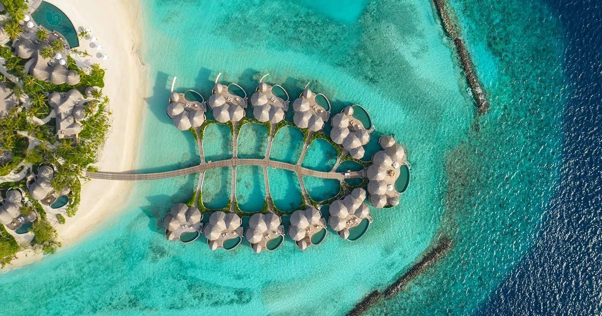 Фото отеля The Nautilus Beach & Ocean Houses Maldives