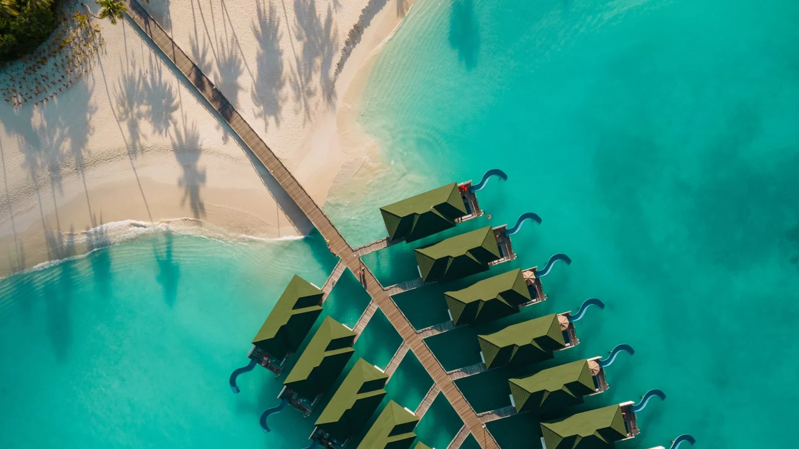 Фото отеля Siyam World Maldives