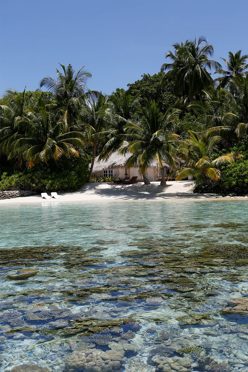 Фото отеля Nika Island Resort & Spa