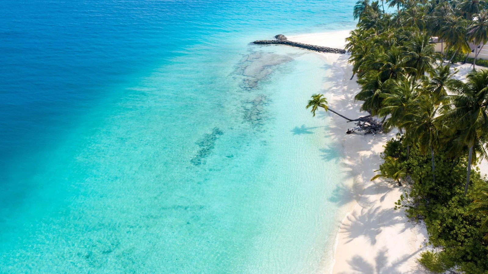 Фото отеля Fiyavalhu Resort Maldives