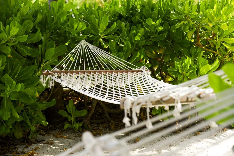 Фото отеля Constance Moofushi Resort